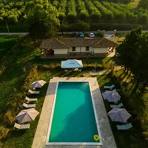  Apartment Anfora Della Italien